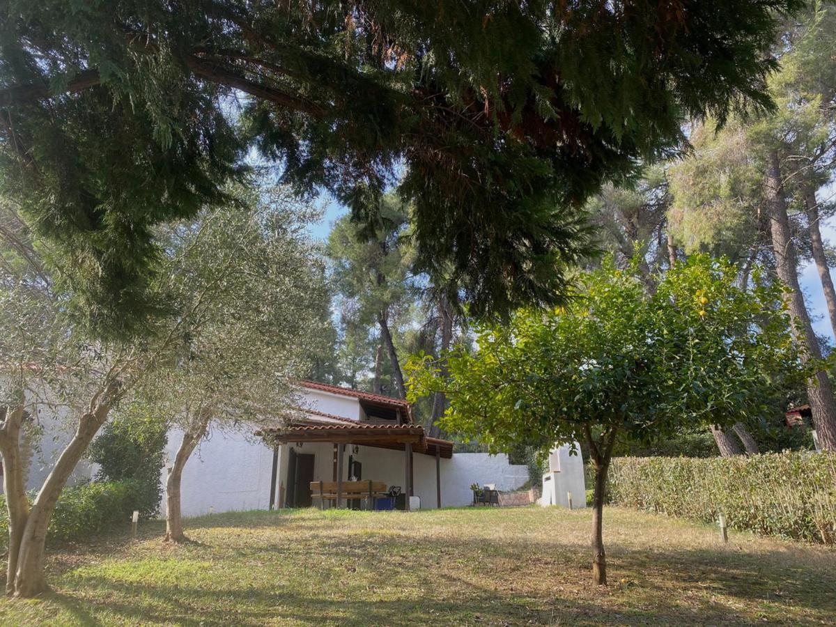 Sani Garden House Villa Eksteriør bilde
