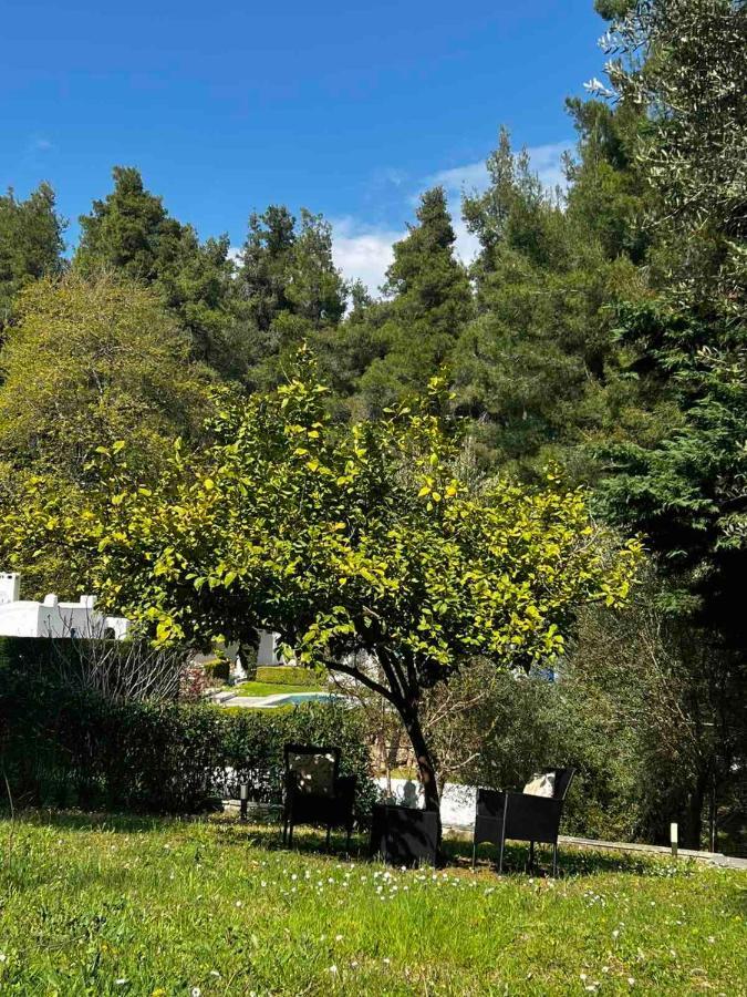 Sani Garden House Villa Eksteriør bilde